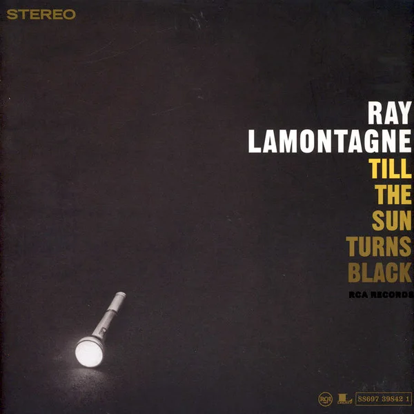 Cover of Till The Sun Turns Black