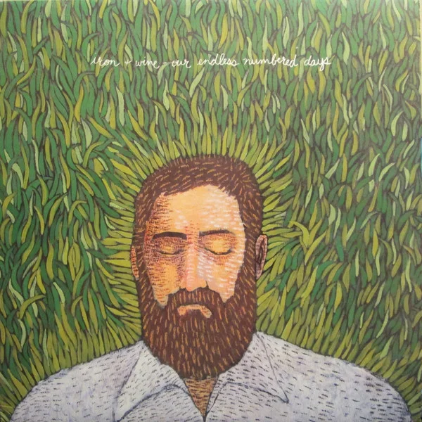 Cover of Our Endless Numbered Days