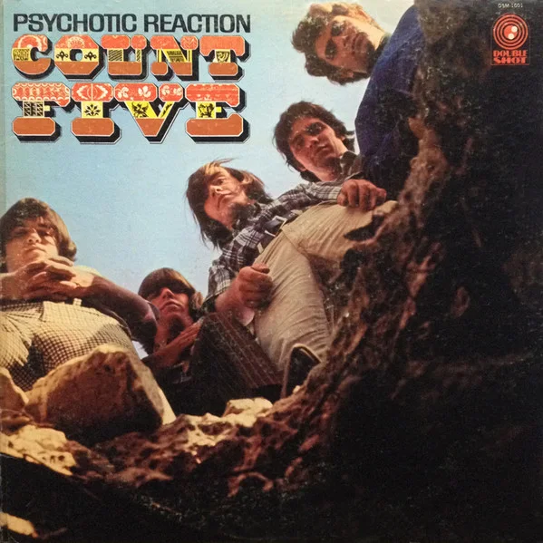 Cover of Psychotic Reaction